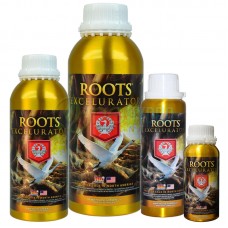 House and Garden Roots Excelurator House and Garden Roots Excelurator